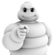 bibendum