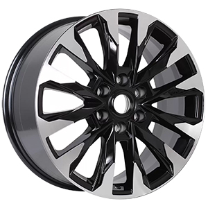 KHW2010 BLACK-FP