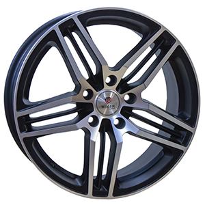 WGS2901 MBFP