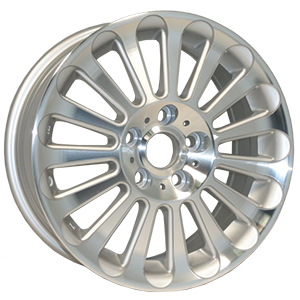 R1712 MS