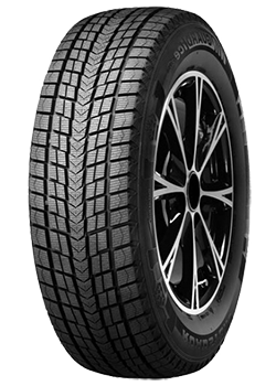 Winguard Ice WS5 SUV