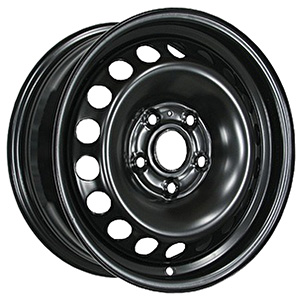 17000 black