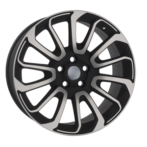 LR39 BKF