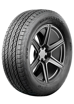 Majoris R1