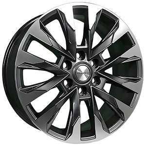 KHW2010 GRAY-FP